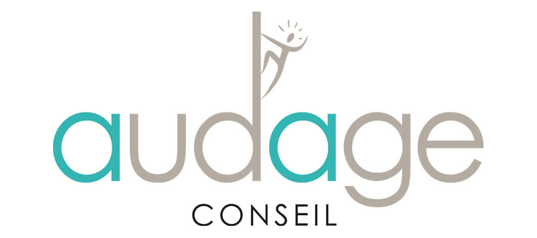 Logo AUDAGE, conseil et consulting, Lyon.