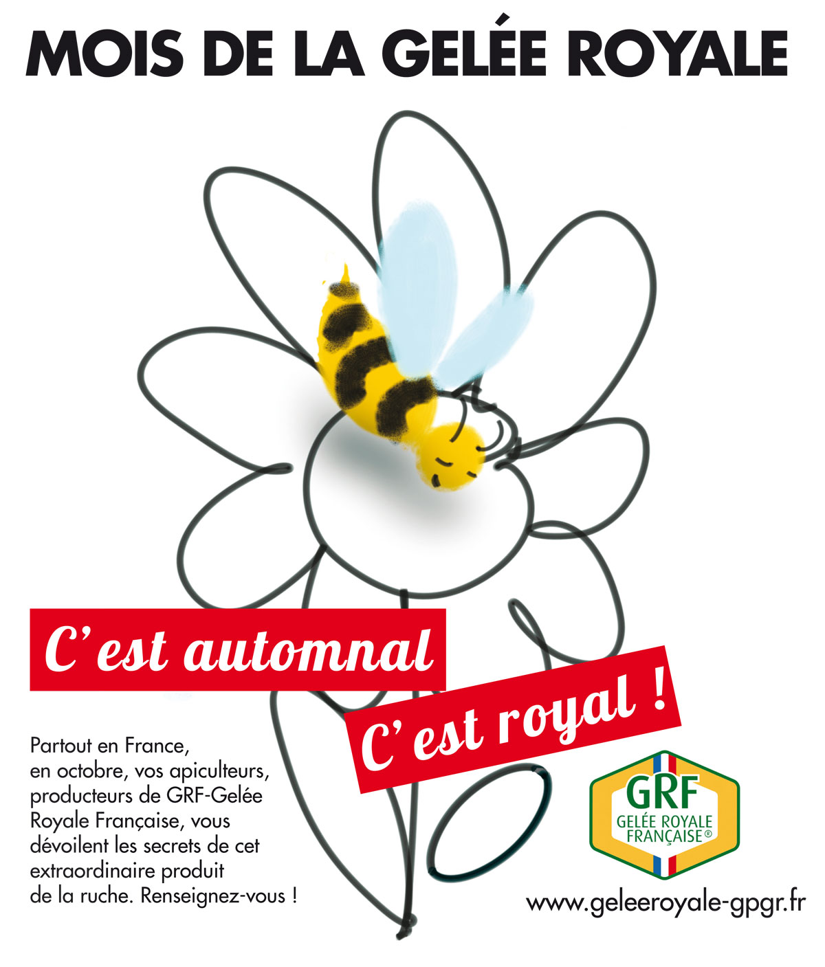 Projet affiche Gelée Royale Française.